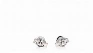 Sterling Silver Rhodium Micropave CZ Cluster 5mm Stud Earring