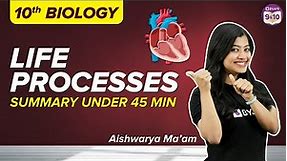 Life Processes Class 10 Science (Biology) Complete Chapter Revision Under 45 Mins | Board Exams 2023