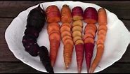 Ranking 6 Different Carrots By Taste and Overall Performance