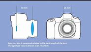 Focal length, apertures and f numbers - an infographic