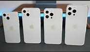 iPhone 13, iPhone 13 mini, iPhone 13 Pro and iPhone 13 Pro Max Design - First Look