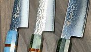 Sakai Takayuki 33-Layer VG10 Damascus Chef Knives with Stabilized Hybrid Wood Handle [AI/SUI]