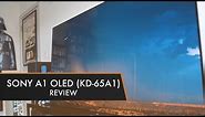 Sony A1 OLED TV (Sony KD-65A1) | Review
