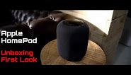 Apple HomePod Space Gray Unboxing And First Look India
