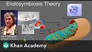 Endosymbiosis theory | Cell structure and function | AP Biology | Khan Academy