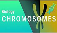 What Are Chromosomes | Genetics | Biology | FuseSchool