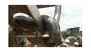 Giant anaconda found in Brazillian building site