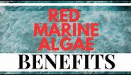 5 Great Benefits of Red Marine Algae Video