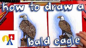 How To Draw A Realistic Bald Eagle