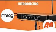 INTRODUCING: The Moog Etherwave Theremin (Quick Demo)