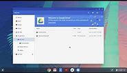 How to Use the Files App (or File Management) on your Chromebook