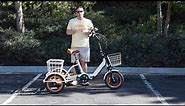 Expert Pick for the Best TRIKE BIKE: This Electric 3 Wheel Bike is Changing Seniors Lives