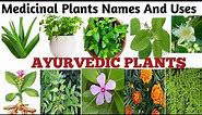 Medicinal Plants And their Uses/ 20 Ayurvedic Plants Name/ Medicinal Herbs You Can Grow/Plants