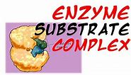 Enzyme substrate complex