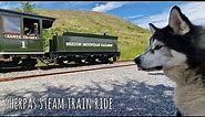 Sherpa Rides The Brecon Mountain Railway