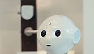 Pepper the emotional robot