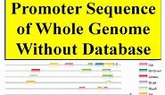 Promoter region file of whole genome