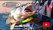 Snap Weights and Cranks for Erie Walleye