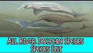 All River Dolphin Species - Species List