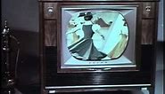 Television Remote Control (1961)