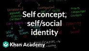Self concept, self identity, and social identity | Individuals and Society | MCAT | Khan Academy