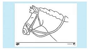A Horses Head with Bridle and Reins Colouring Sheet