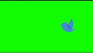 [4K] Twitter Bird Animation - Green Screen