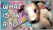 what is an aibo? [ Beginner's Guide to Aibo ]