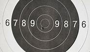 Black And White,  Of a Shooting Target And Bullseye With Bullet Holes