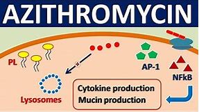 Azithromycin - Mechanism, side effects, precautions & uses