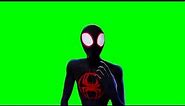SPIDER-MAN ACROSS THE SPIDER VERSE Green Screen || Spiderman Green Screen
