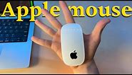 They said it's the worst mouse ever made. So I bought it. (Magic Mouse Review)