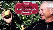 Meet Your BC Organic Ambrosia Apple Growers Richard and Robyn King