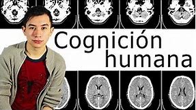 ¿Qué es la cognición? EXPLICACIÓN RÁPIDA #Neuropsicologia