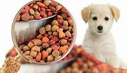Pet Foods market Growth Analysis 2022 | Segmentation and Competition Analysis 2031