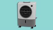 6 Best Evaporative Coolers, According to Experts