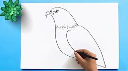 How to Draw a Bald Eagle 🦅| Bald Eagle Drawing Easy Step by Step | Draw the national Bird of USA