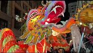 2020 Chinese New Year Parade - dragon dancing
