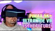 THIS is the Future of VR! (Pimax 5K Plus Hands-On Review)