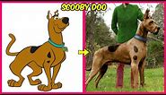 🐕 Scooby Doo 🔥 Real Life