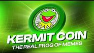 THE REAL FROG OF MEMES!