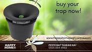In2Care Mosquito Trap! A novel... - Happy Home Pest Control