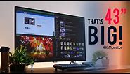 Mega 43 INCH 4K Monitor - All about the SIZE! (Philips 4K)