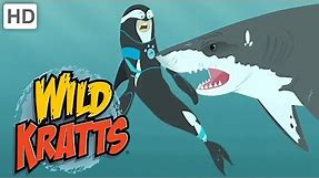Wild Kratts 🦈🐊 Sharp Teeth | Kids Videos
