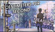 5 Centimeters Per Second - Deeper Meaning Explained (Japanese Animated Film by Makoto Shinkai)