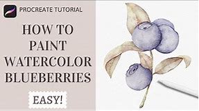 How to Paint Watercolor Blueberries in Procreate | Realistic Watercolor Fruit Procreate Tutorial
