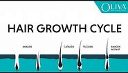 Natural Hair Growth Cycle: Explainer Video On Anagen, Catagen & Telogen Phases