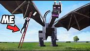 Worlds Largest Ender Dragon!