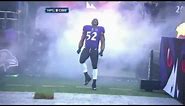 Baltimore Ravens Linebacker Ray Lewis Last Dance On Home Turf