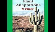 Adaptations of Deserts Plants ( Cactus) -For Kids